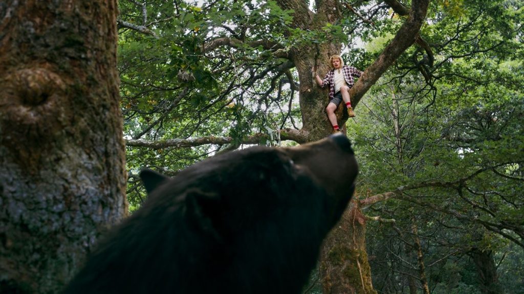 映画『コカイン・ベア』一流スタッフが作り上げた“キマっちゃったクマ”の場面写真