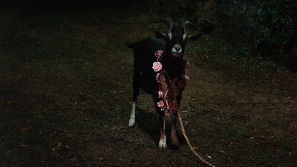 『FRÉWAKA/フレワカ』場面写真