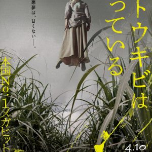 『サトウキビは知っている』ティザーポスター